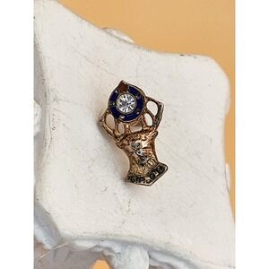 Vtg 925 Sterling Silver ELKS Club BPOE Lapel Pin Hat Pin Tie Tack Crystal Enamel
